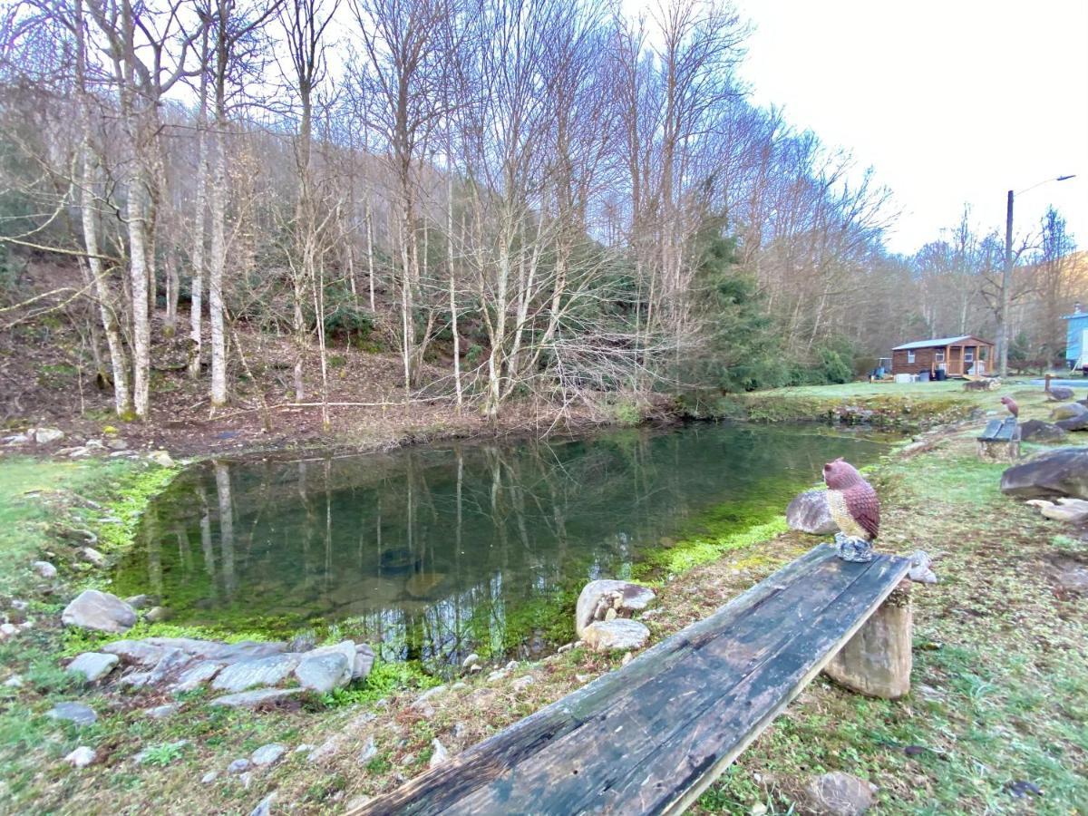 Maggie Valley Cabin Rentals Exterior foto